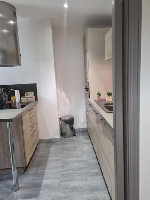 L'Ourse, Epinal,Tres Bel Appartement Quartier Port Extérieur photo